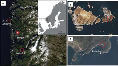 Rapid Landscape Changes in Plastic Bays Along the Norwegian Coastline